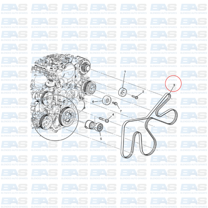 Chevrolet Trailblazer 2.8 Serpentine belt