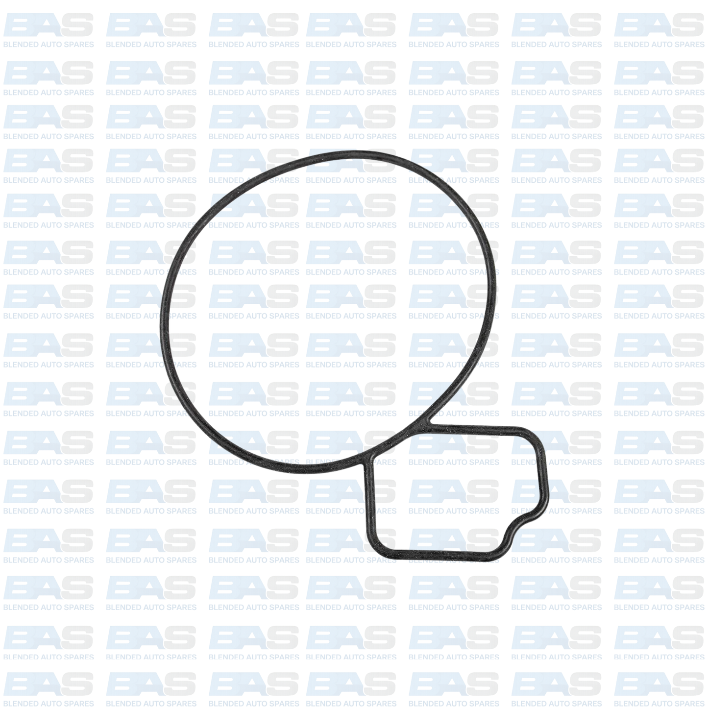 Chevrolet Captiva 2.4 Water pump gasket (C140)