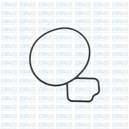 Chevrolet Captiva 2.4 Water pump gasket (C140)