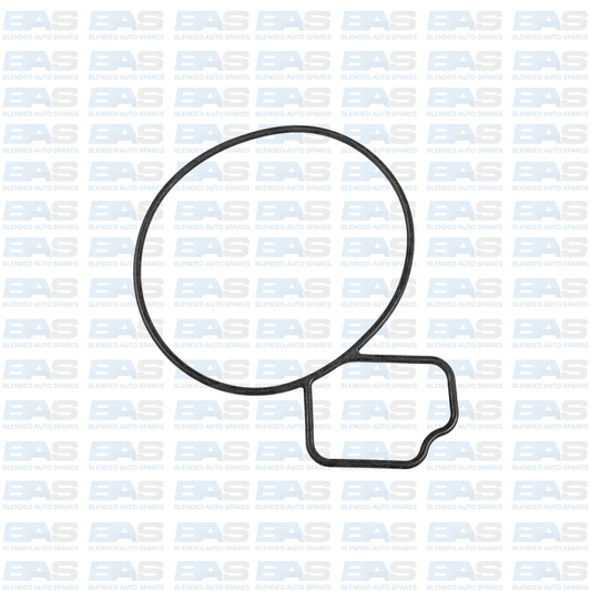 Chevrolet Captiva 2.4 Water pump gasket (C140)
