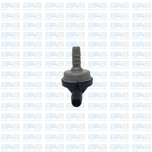 Chevrolet Sonic 1.6 Intake manifold check valve