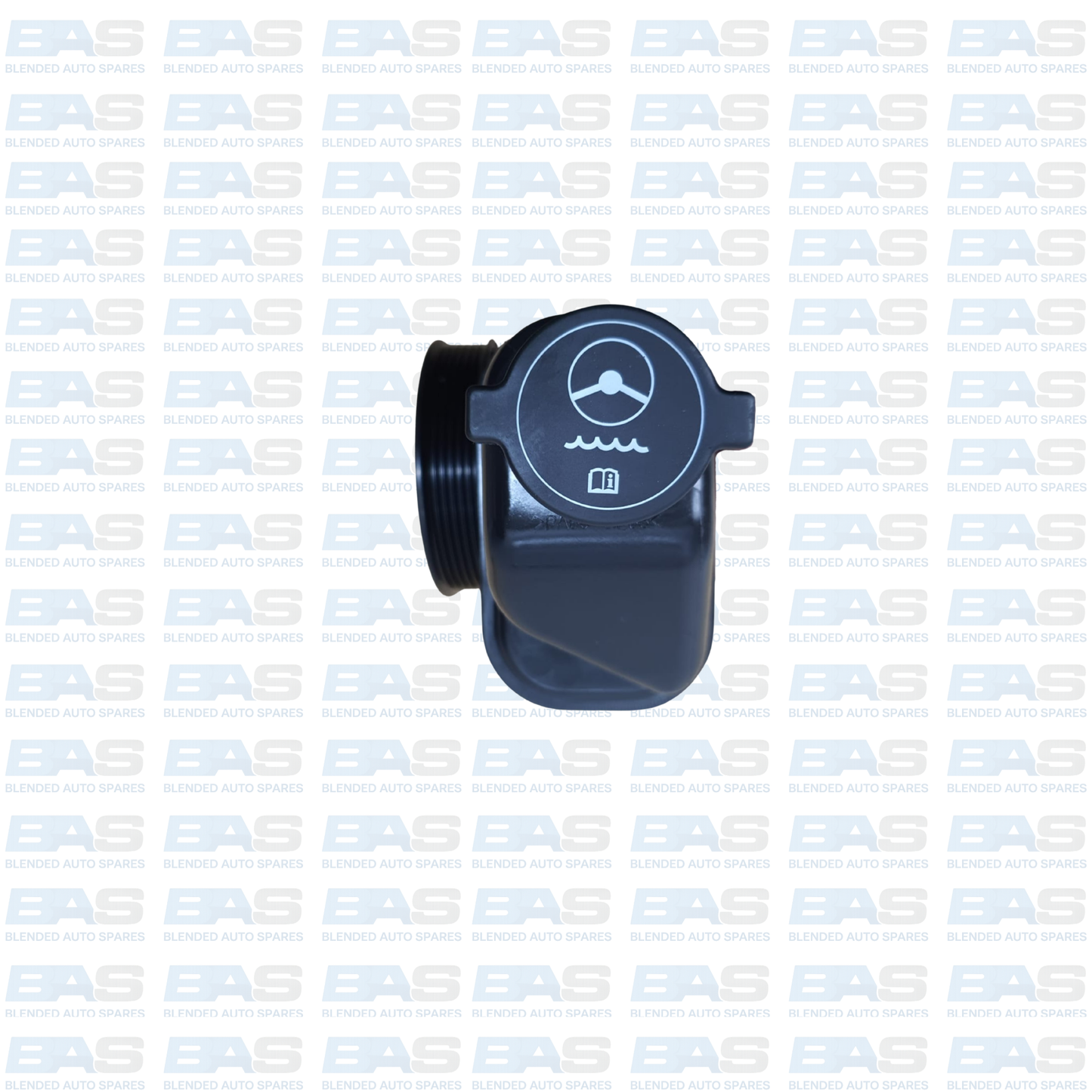 Chevrolet Captiva 2.4 Power steering pump (C100)