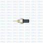 Chevrolet Utility Temperature sensor (Type 2)